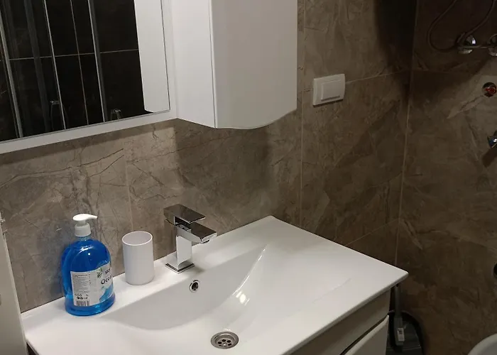 Emilija 소코 반자